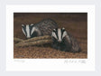 Badger-on-Night-Watch-Print-Loose-Print-Only