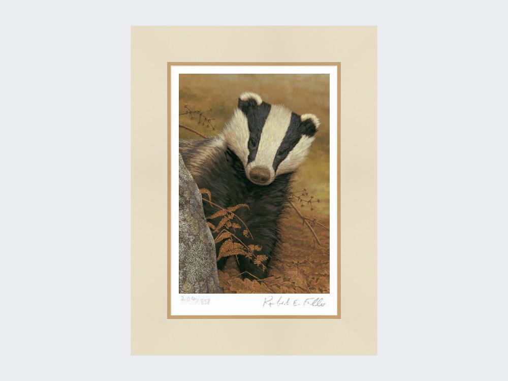 Badger-on-the-Lookout-Mounted-Print-Only