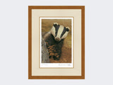 Badger-on-the-Lookout-Rustic-Country