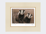 Badgers-at-Twilight-Print-Mounted-Print-Only