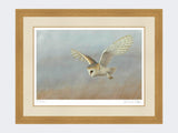 Barn-Owl-Lookout-Print-Light-Oak