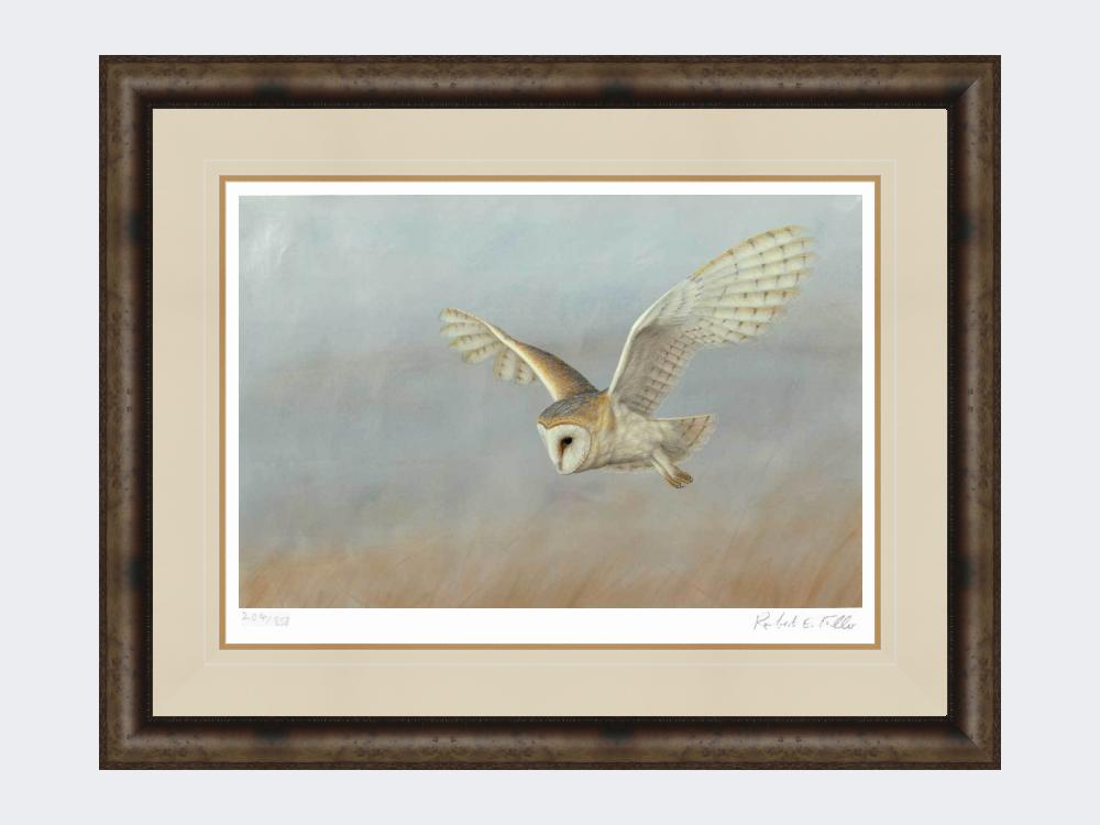 Barn-Owl-Lookout-Print-Medium-Dark-Grey-Burr