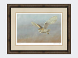 Barn-Owl-Lookout-Print-Medium-Dark-Grey-Burr