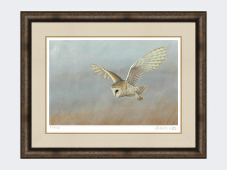 Barn-Owl-Lookout-Print-Medium-Dark-Grey-Burr