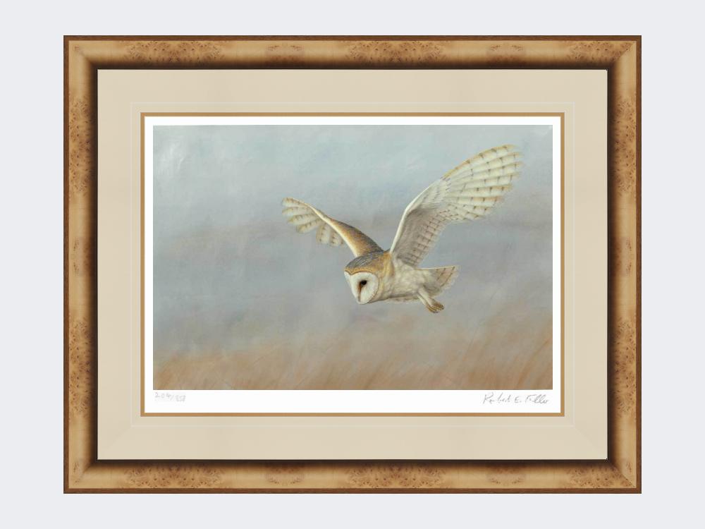 Barn-Owl-Lookout-Print-Medium-Light-Burr