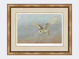 Barn-Owl-Lookout-Print-Medium-Light-Burr