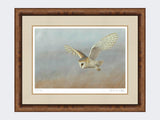 Barn-Owl-Lookout-Print-Medium-Walnut-Burr