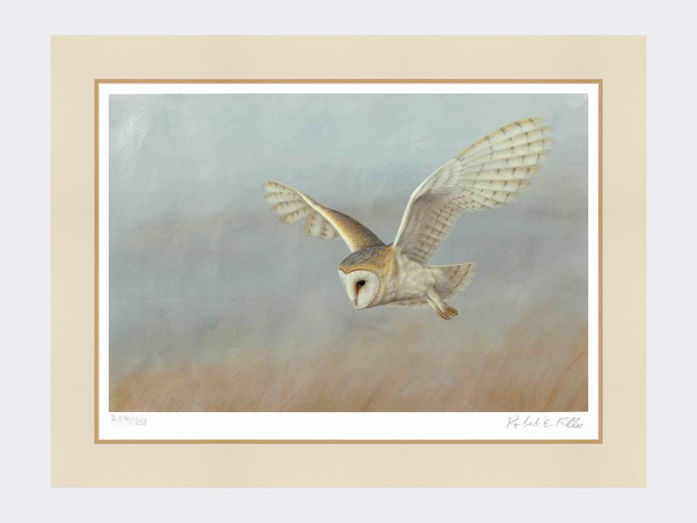 Barn-Owl-Lookout-Print-Mounted-Print-Only