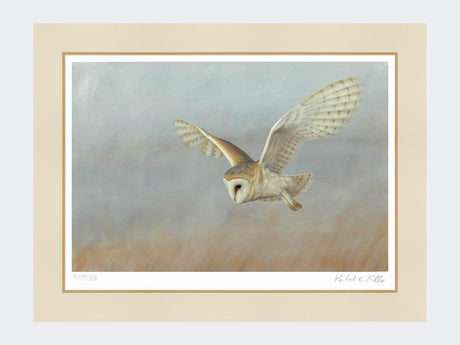 Barn-Owl-Lookout-Print-Mounted-Print-Only