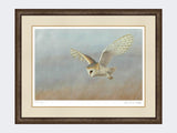 Barn-Owl-Lookout-Print-Small-Dark-Grey-Burr