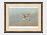 Barn-Owl-Lookout-Print-Small-Light-Burr