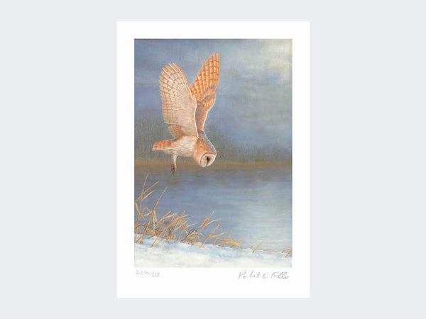 Barn Owl - On Silent Wings | Limited Edition Art Print