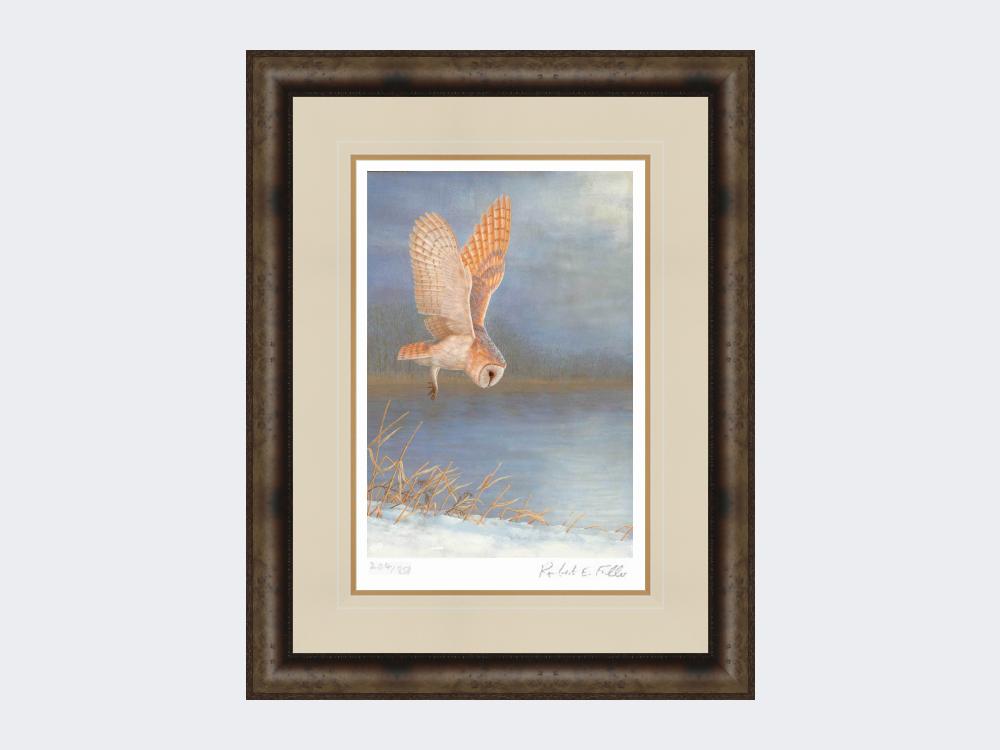 Barn-Owl-On-Silent-Wings-Print-Medium-Dark-Grey-Burr