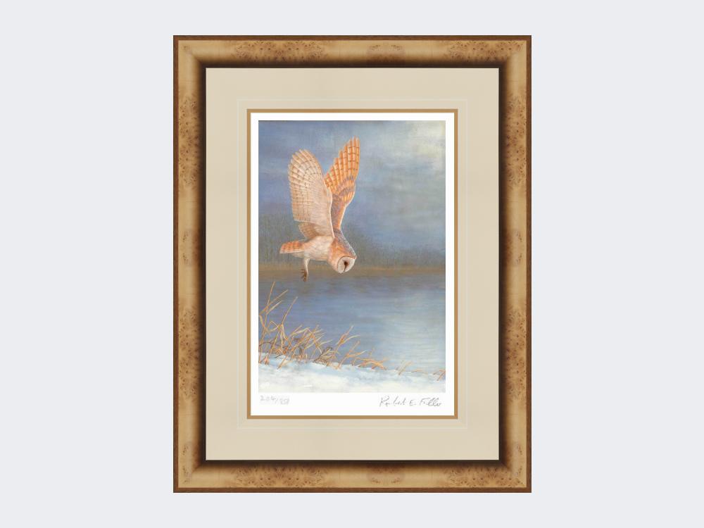 Barn-Owl-On-Silent-Wings-Print-Medium-Light-Burr