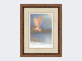 Barn-Owl-On-Silent-Wings-Print-Medium-Walnut-Burr