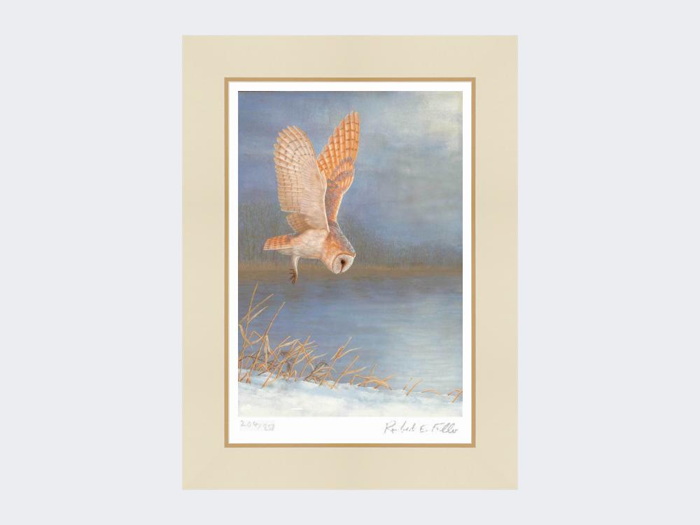 Barn-Owl-On-Silent-Wings-Print-Mounted-Print-Only