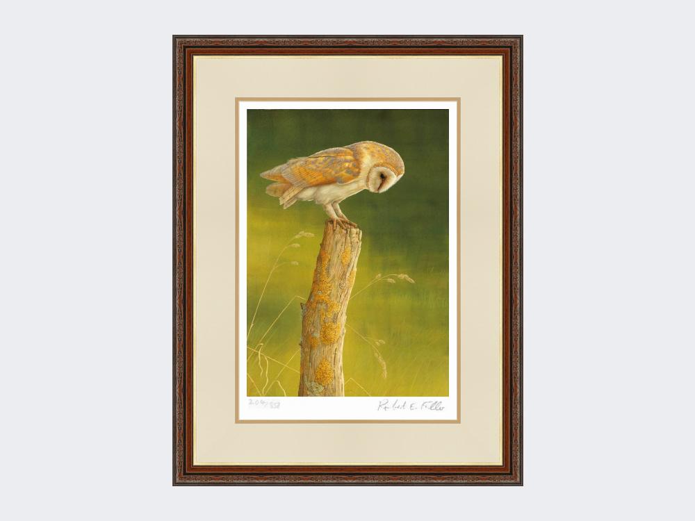 Barn-Owl-at-Burdale-Print-Harvest-Twist