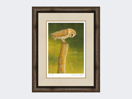 Barn-Owl-at-Burdale-Print-Medium-Dark-Grey-Burr