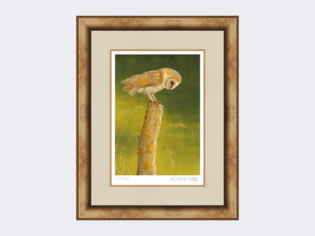 Barn-Owl-at-Burdale-Print-Medium-Light-Burr