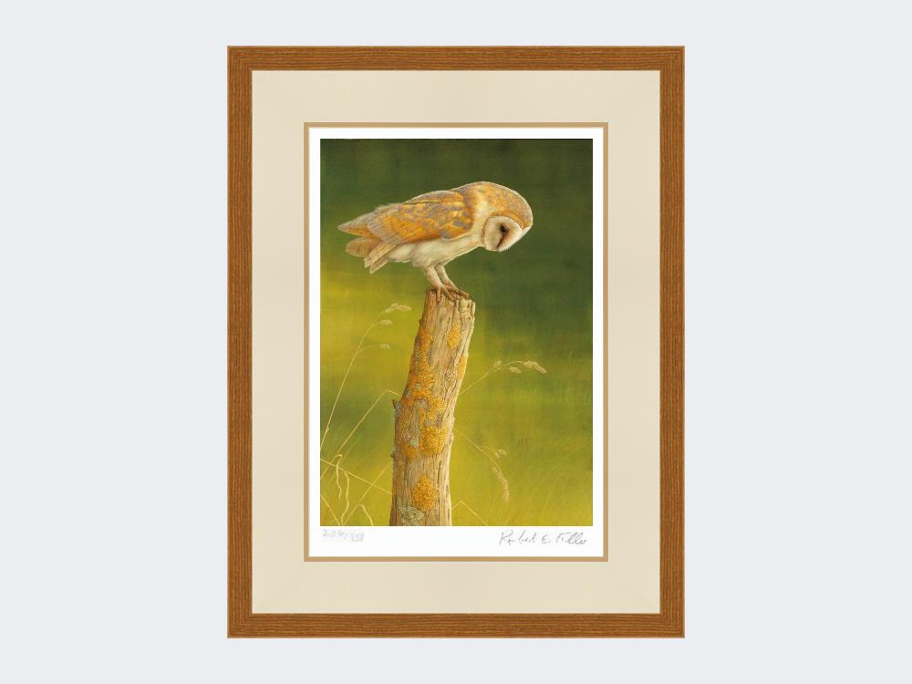 Barn-Owl-at-Burdale-Print-Rustic-Country