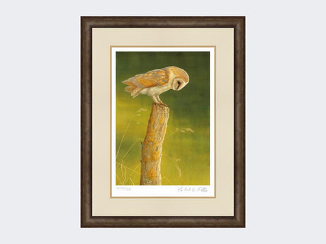 Barn-Owl-at-Burdale-Print-Small-Dark-Grey-Burr