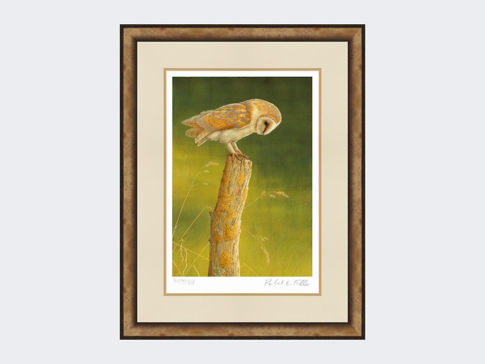 Barn-Owl-at-Burdale-Print-Small-Light-Burr