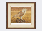 Barn-Owl-at-Rest-Print-Harvest-Twist