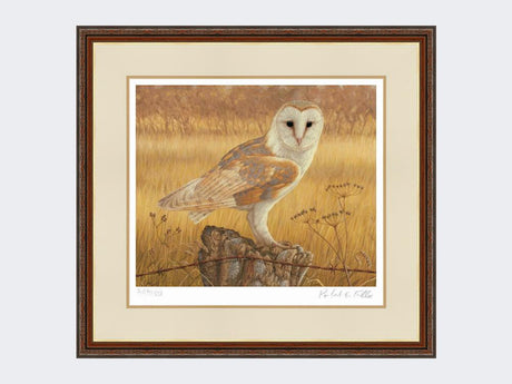 Barn-Owl-at-Rest-Print-Harvest-Twist