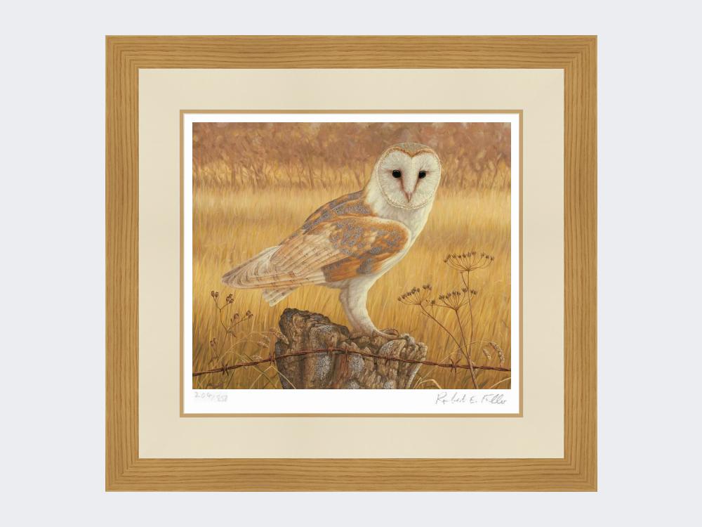 Barn-Owl-at-Rest-Print-Light-Oak