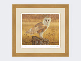 Barn-Owl-at-Rest-Print-Light-Oak