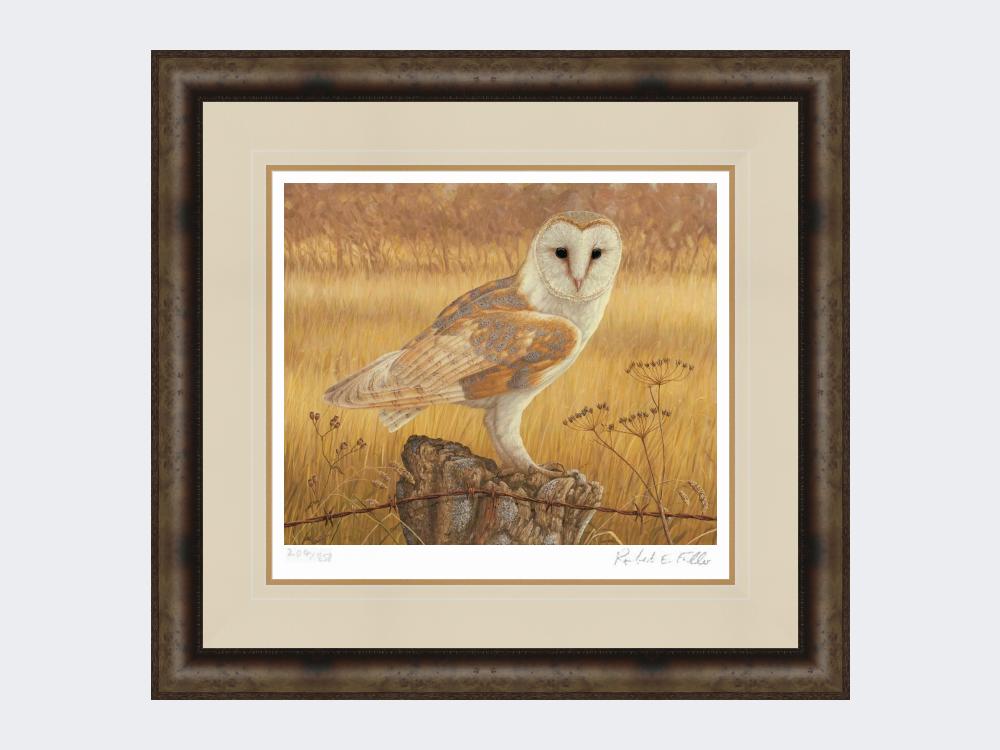 Barn-Owl-at-Rest-Print-Medium-Dark-Grey-Burr