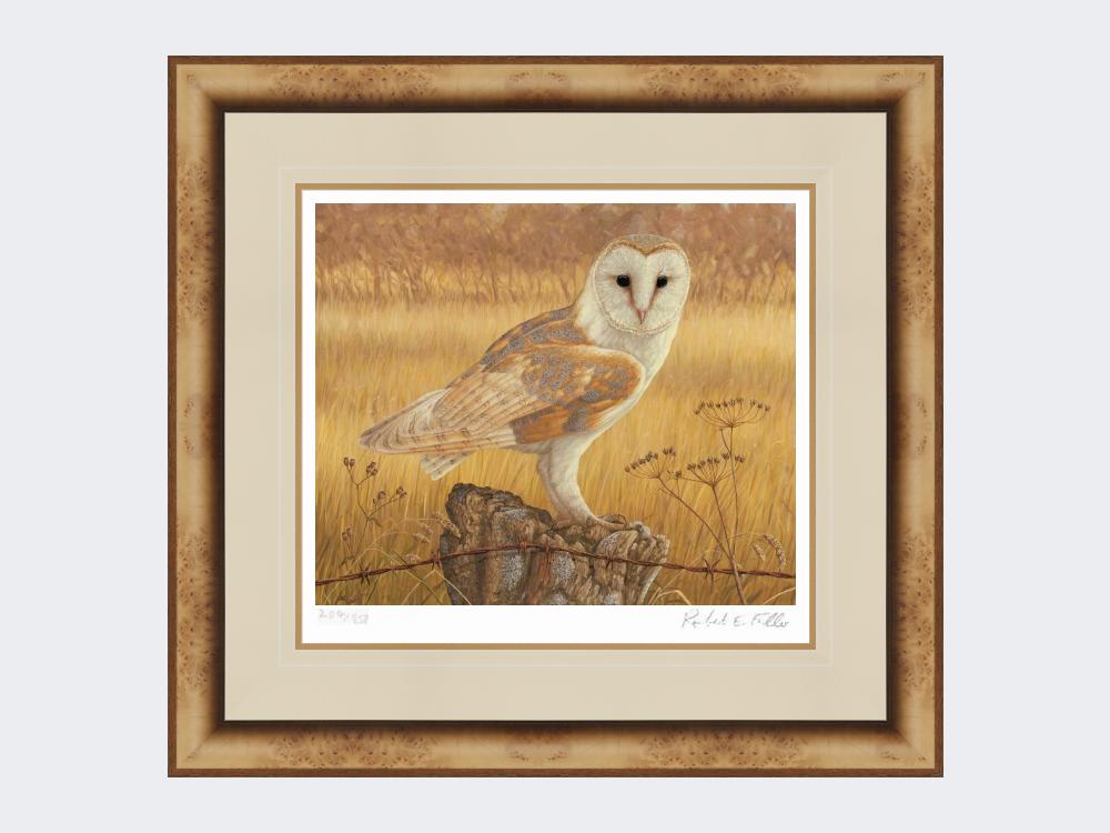 Barn-Owl-at-Rest-Print-Medium-Light-Burr