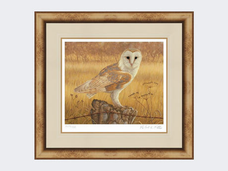 Barn-Owl-at-Rest-Print-Medium-Light-Burr