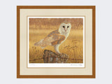 Barn-Owl-at-Rest-Print-Rustic-Country