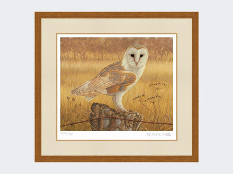 Barn-Owl-at-Rest-Print-Rustic-Country