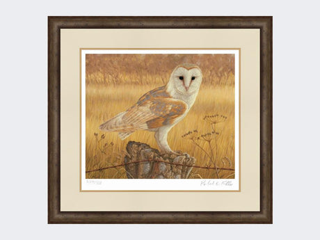 Barn-Owl-at-Rest-Print-Small-Dark-Grey-Burr