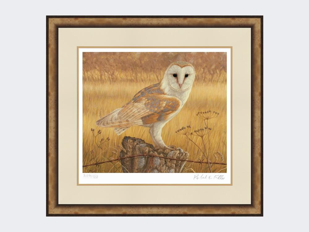 Barn-Owl-at-Rest-Print-Small-Light-Burr