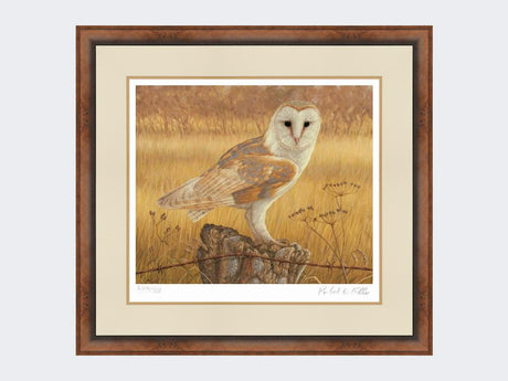 Barn-Owl-at-Rest-Print-Small-Walnut-Burr