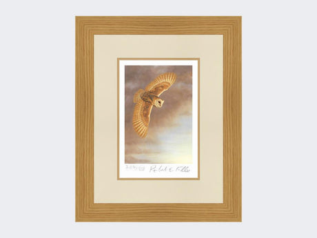 Barn-Owl-in-Flight-Limited-Edition-Print-Light-Oak