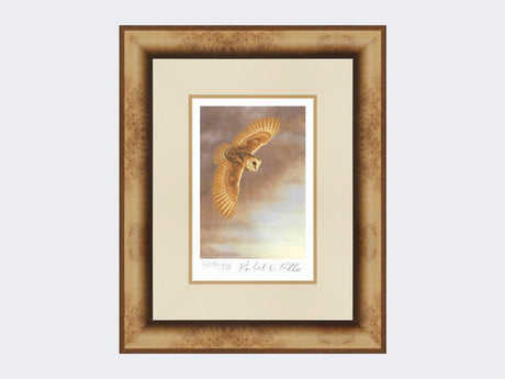 Barn-Owl-in-Flight-Limited-Edition-Print-Medium-Light-Burr