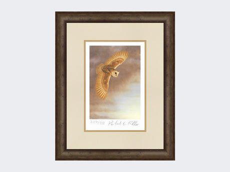 Barn-Owl-in-Flight-Limited-Edition-Print-Small-Dark-Grey-Burr