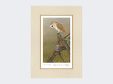 Barn-Owl-on Cart-Limited-Edition-Print-Mounted-Print-Only