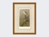 Barn-Owl-on Cart-Limited-Edition-Print-Rustic-Country