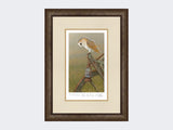 Barn-Owl-on Cart-Limited-Edition-Print-Small-Dark-Grey-Burr