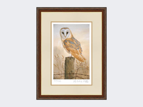 Barn-Owl-on-Fence-Post-Print-Harvest-Twist