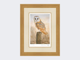 Barn-Owl-on-Fence-Post-Print-Light-Oak