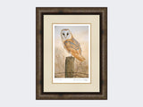 Barn-Owl-on-Fence-Post-Print-Medium-Dark-Grey-Burr