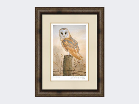 Barn-Owl-on-Fence-Post-Print-Medium-Dark-Grey-Burr