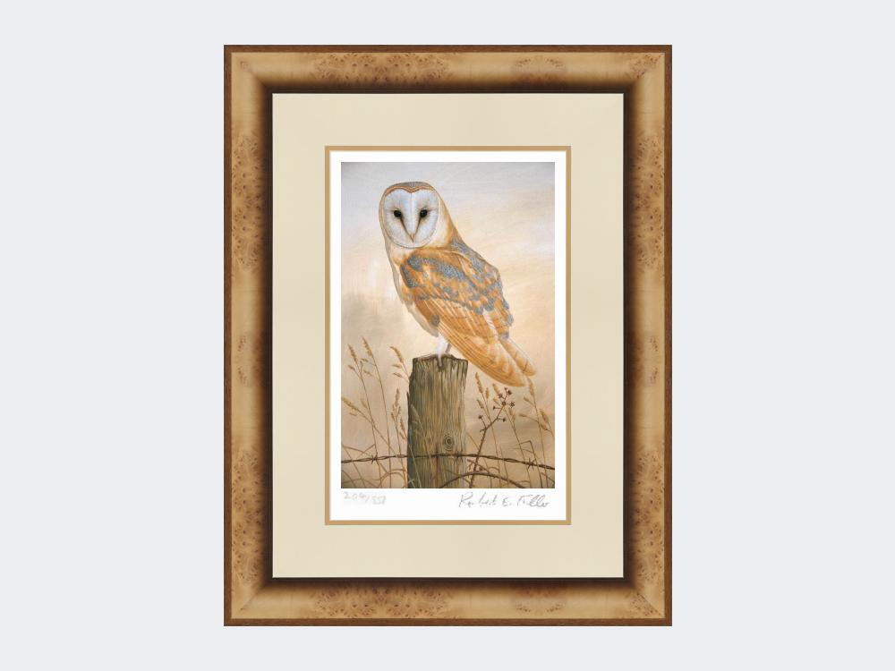 Barn-Owl-on-Fence-Post-Print-Medium-Light-Burr