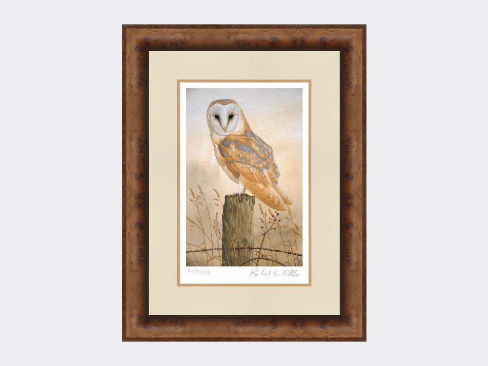 Barn-Owl-on-Fence-Post-Print-Medium-Walnut-Burr